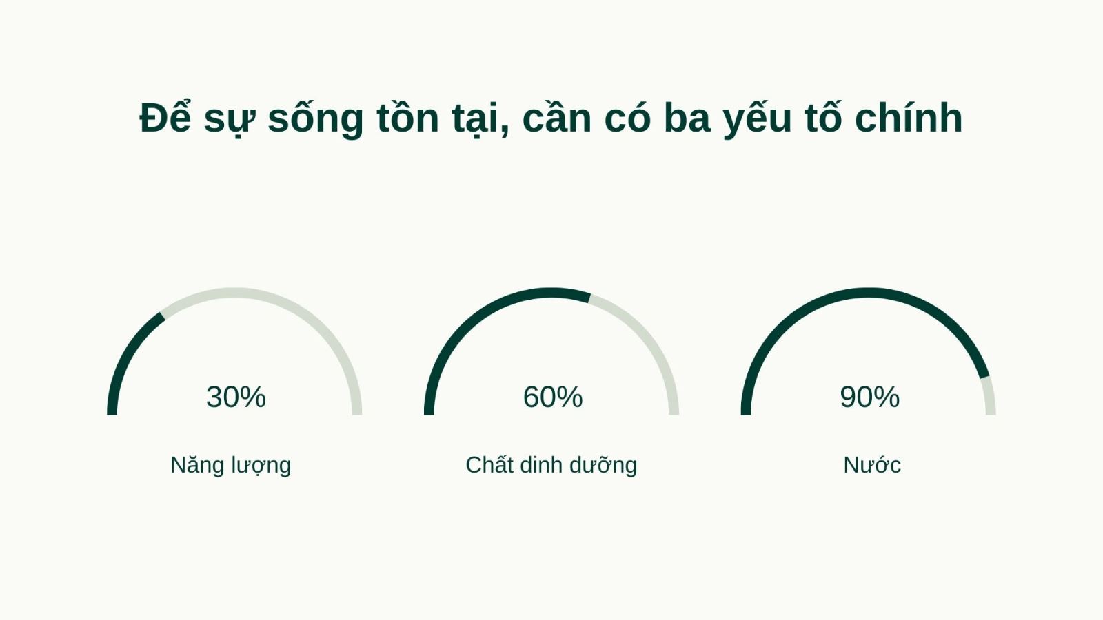 3 yếu tố chính để cho sự sống