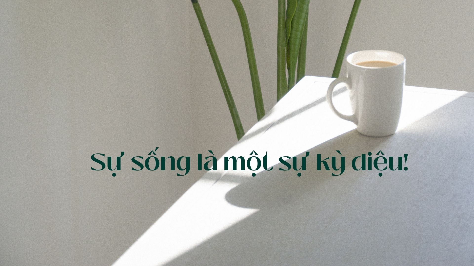 Sự sống là một sự kỳ diệu!